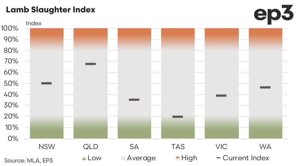 Australian Lamb Slaughter index graph: 2024