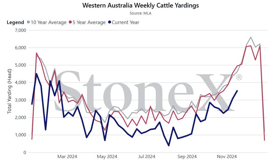 Western Australia Weekly Cattle Yardings graph: Current, 5 year & 10 year