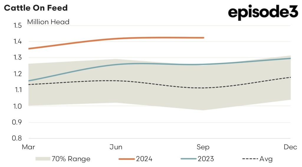 Australian Cattle on Feed graph: 2023/2024