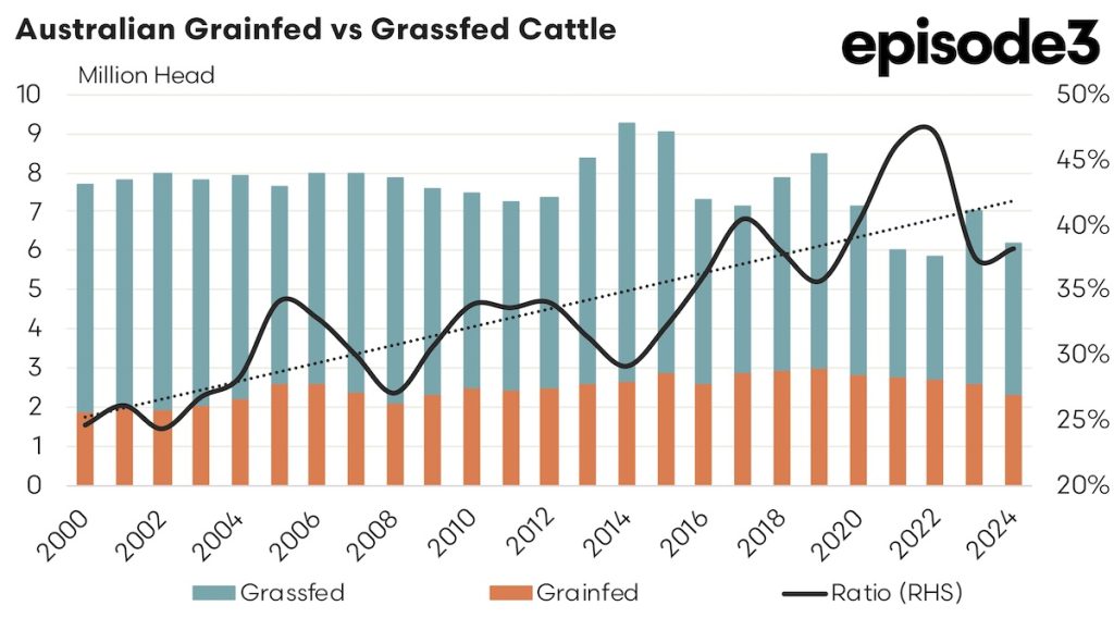 Australian Grainfed vs Grassfed Cattle graph: 2000 to 2024