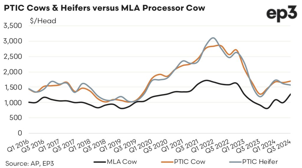 PTIC Cows & Heifers versus MLA Processor Cow graph: 2016 - 2024