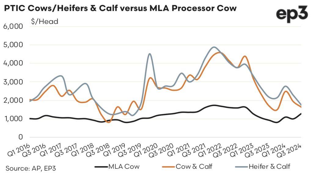 PTIC Cows/Heifers & Calf versus MLA Processor Cow graph: 2016 - 2024