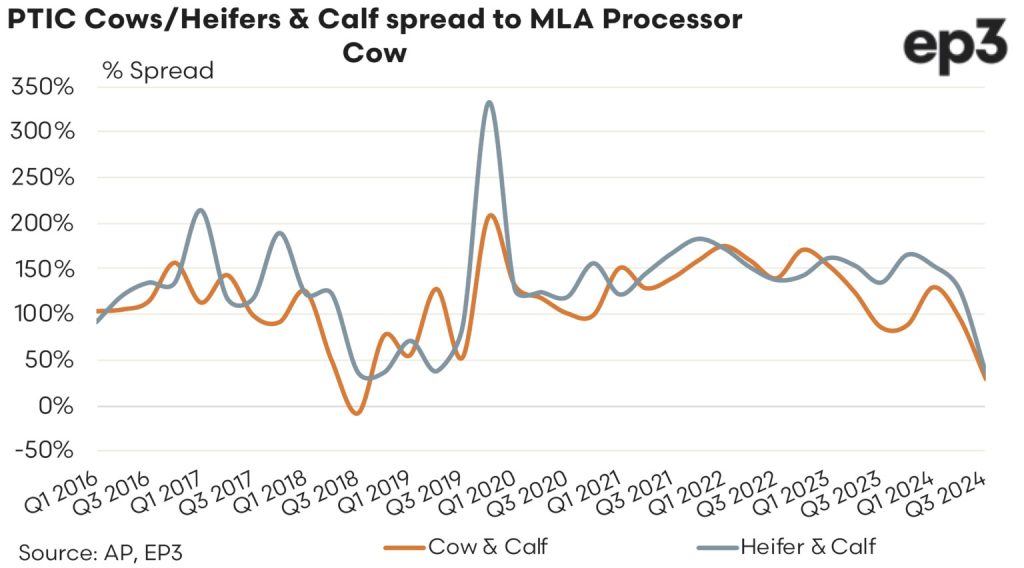 PTIC Cows/Heifers & Calf spread to MLA Processor Cow graph: 2016 - 2024