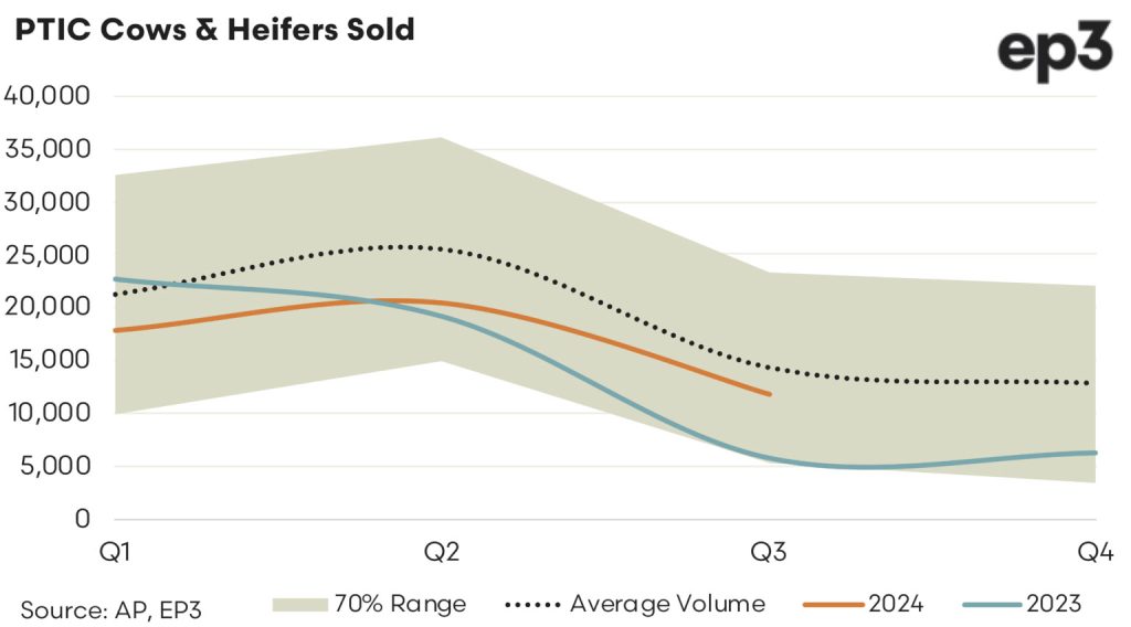 PTIC Cows & Heifers Sold graph: 2023 - 2024