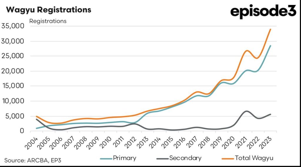 Wagyu Registrations graph: 2004 - 2024