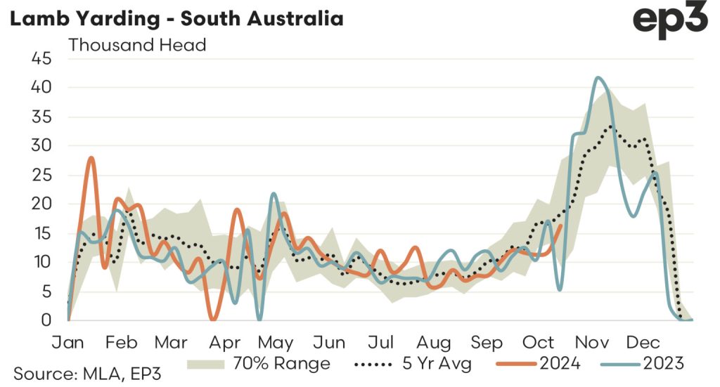 Lamb Yarding - South Australia graph: 2023 - 2024