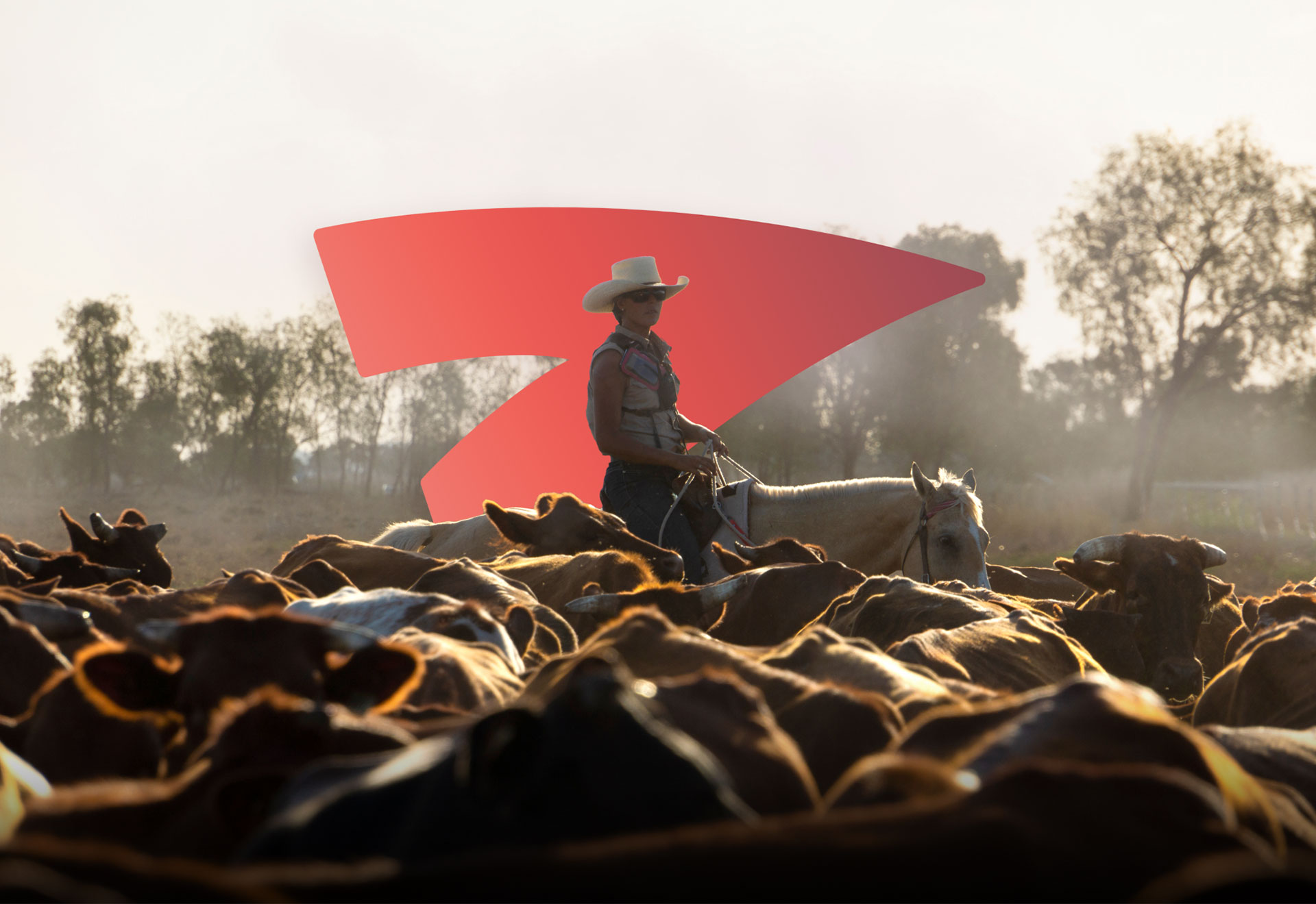 farmer on horseback herding cattle